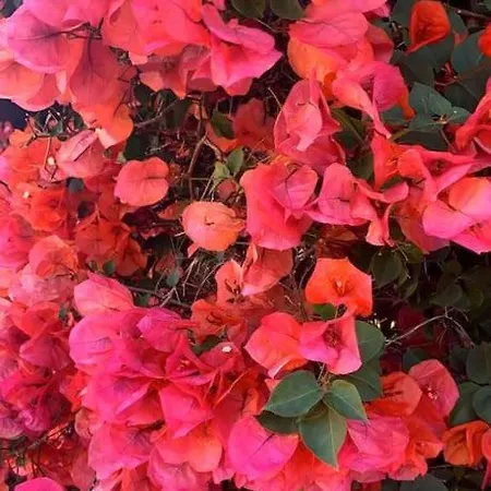 Sunset * Porto Rotondo