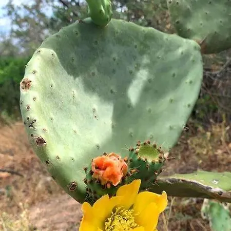 Appartement Sunset *