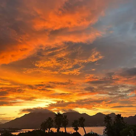 Sunset *